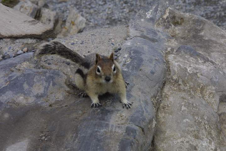 Canada 086.jpg